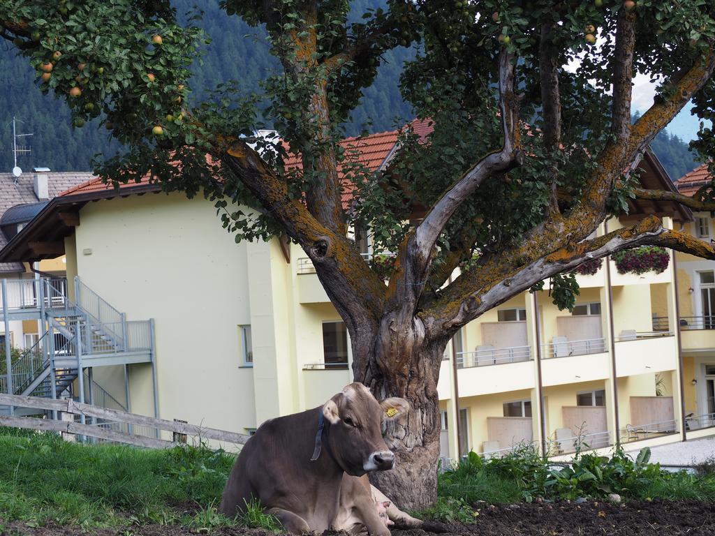 Obermairhof Villa Olang Exterior foto